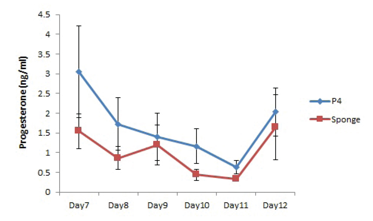 Progesterone profile of ewe showing prolonged luteal phase