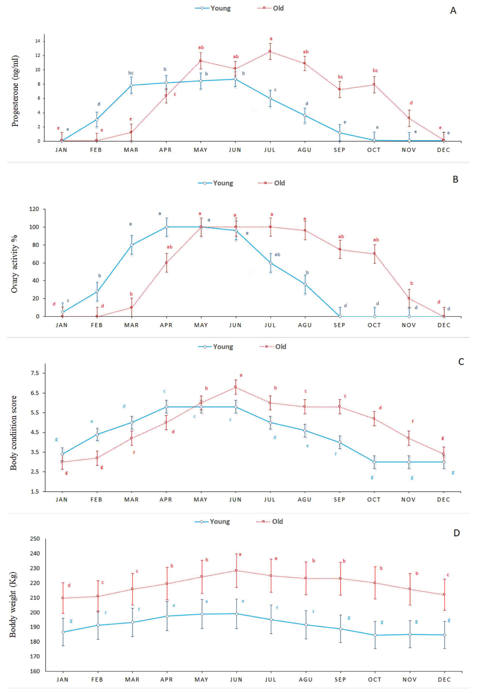 Seasonal changes in serum progesterone levels in Caspian mares